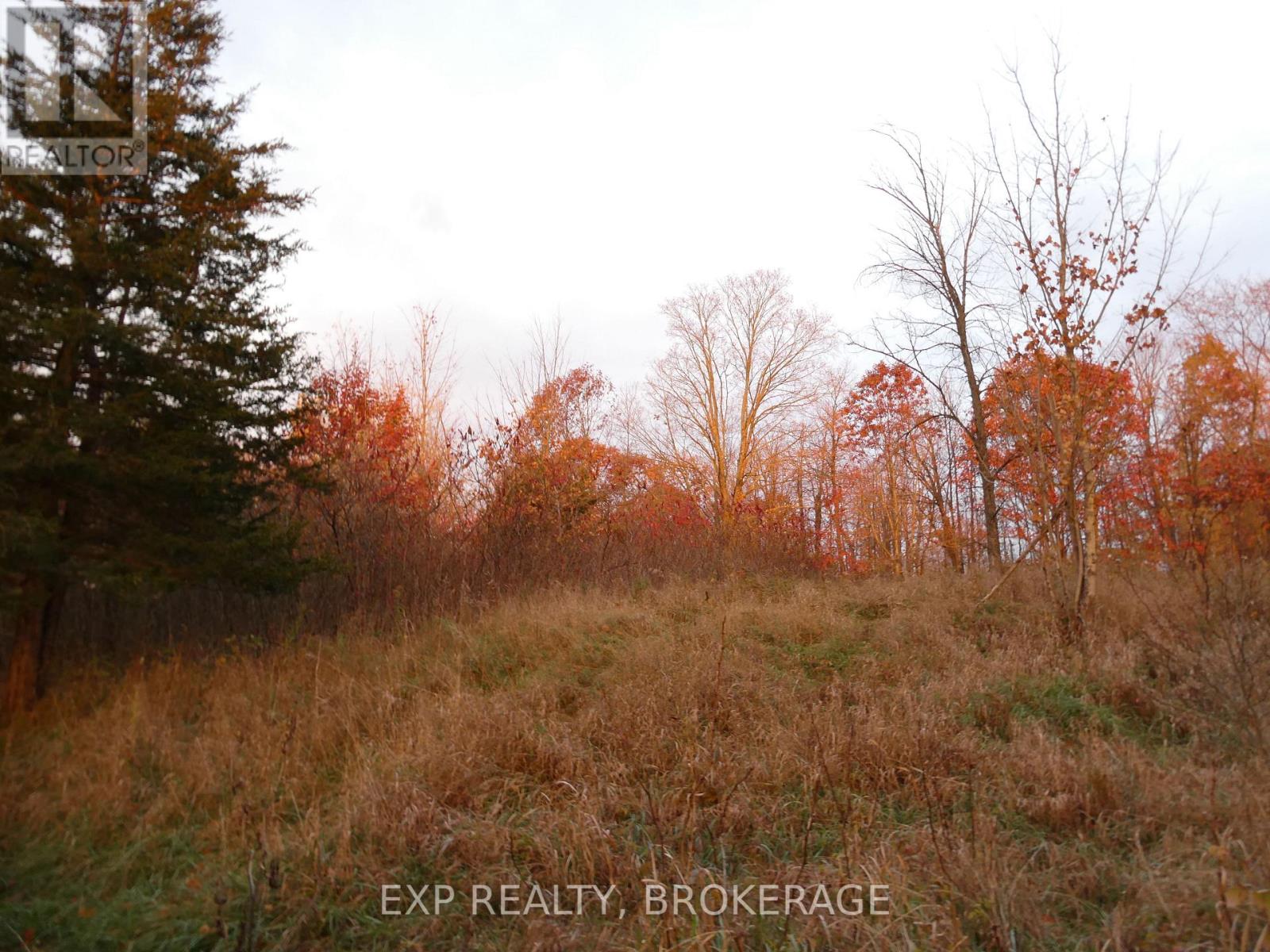 Pt Lt 5 Con 4 James Wilson Road, Frontenac, Ontario  K0H 1W0 - Photo 14 - X13115170
