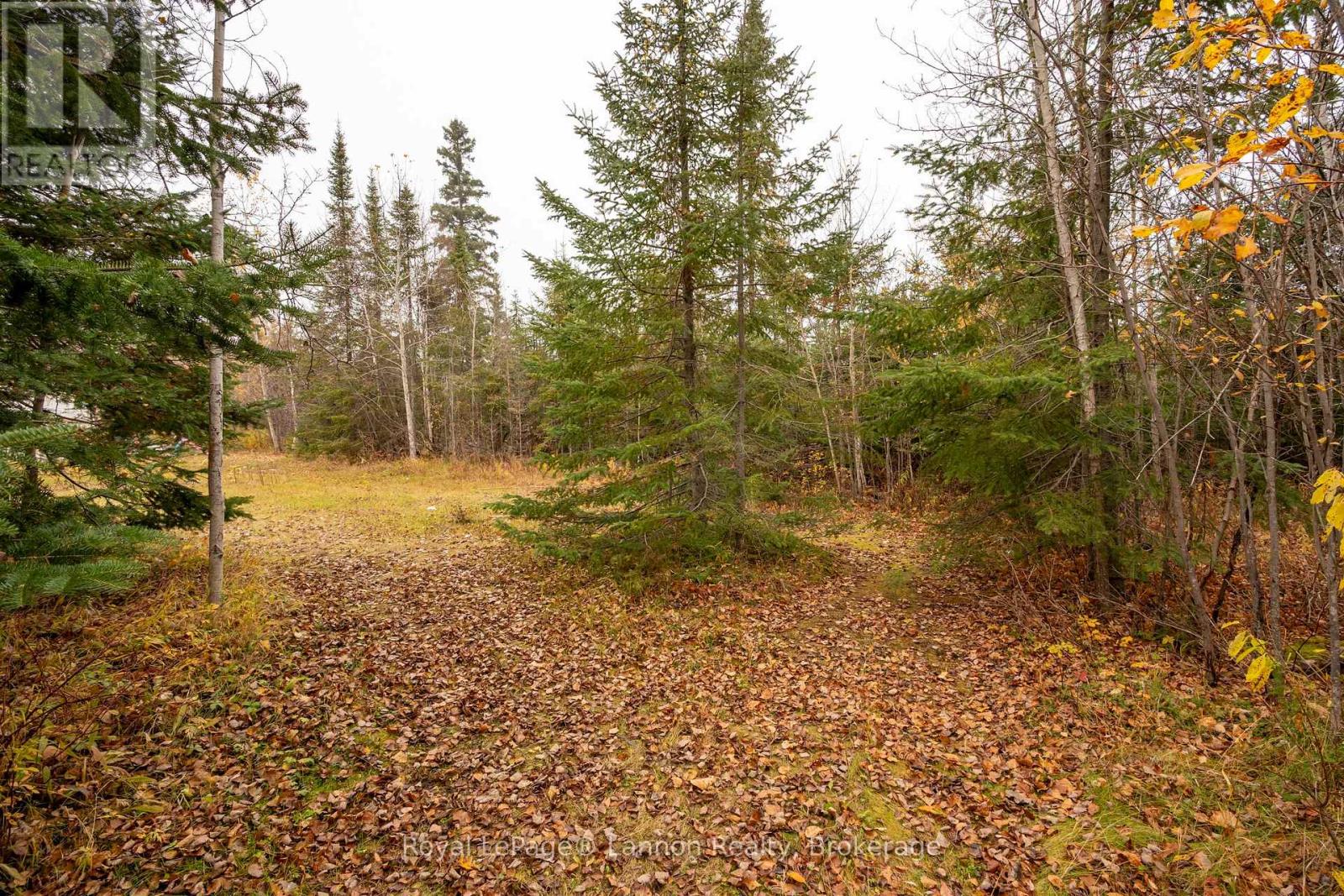 580 11/17 Highway, Thunder Bay Remote Area, Ontario  P0T 1K0 - Photo 36 - X14116834