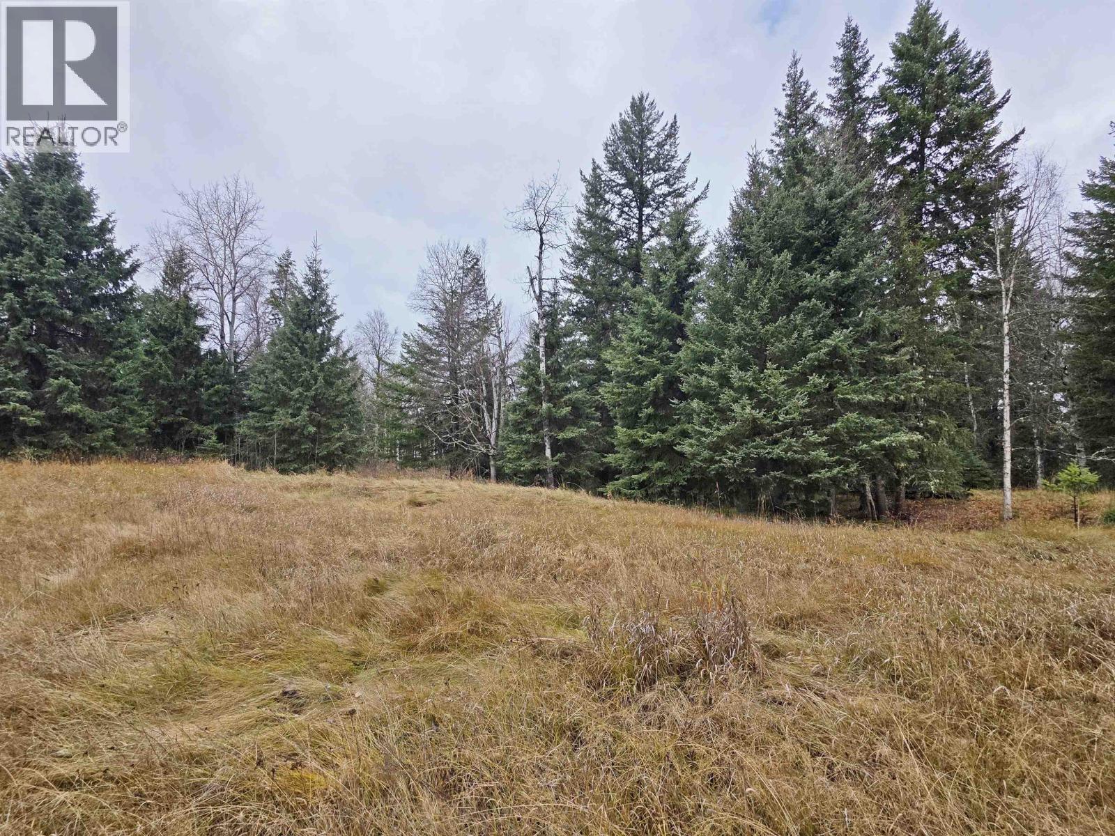 39905 York Road, Hixon, British Columbia  V0K 1S1 - Photo 7 - R3177477