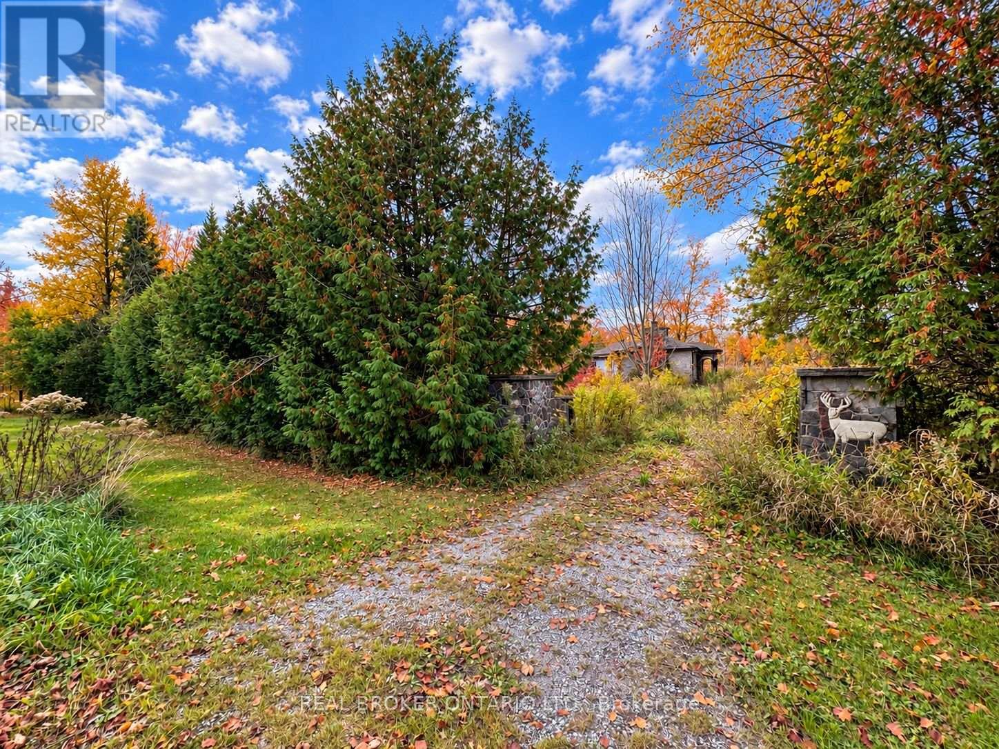 5654 Willison Side Road, Ramara, Ontario  L3V 6H5 - Photo 3 - S14117064