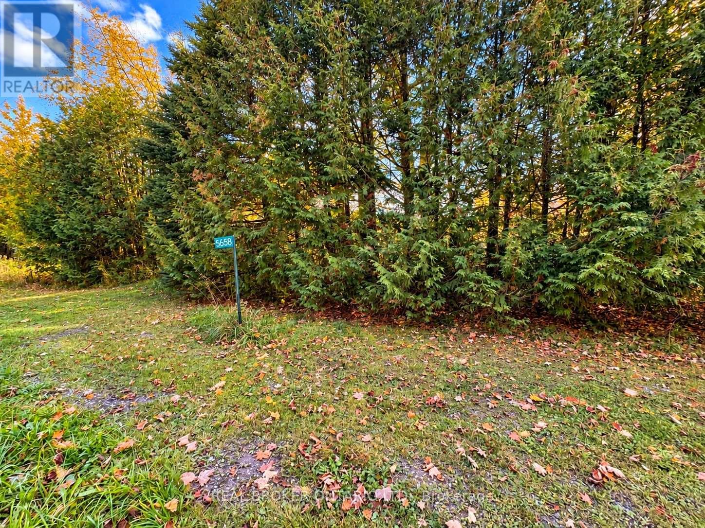 5658 Willison Side Road, Ramara, Ontario  L3V 6H6 - Photo 3 - S14117072