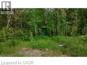 10 Ginn-Beach Drive, The Archipelago, Ontario  P0G 1G0 - Photo 10 - 40873809