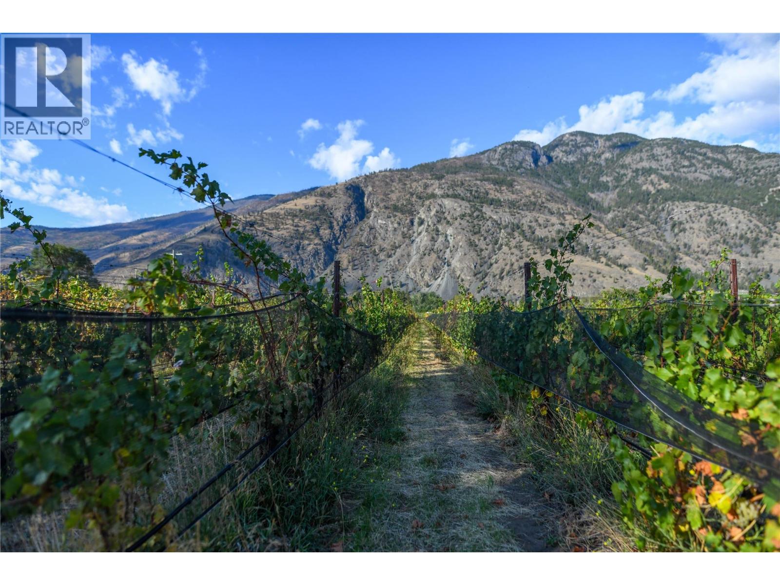 2155 Newton Road, Cawston, British Columbia  V0X 1C1 - Photo 26 - 10404554