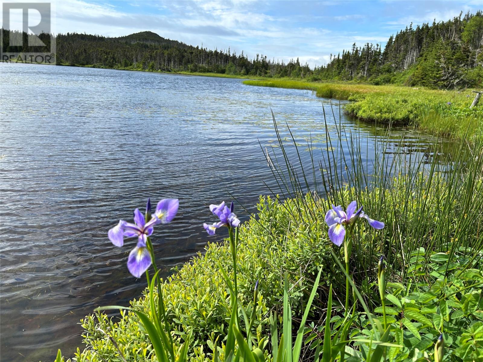 0 Farm Pond Road, Port Rexton