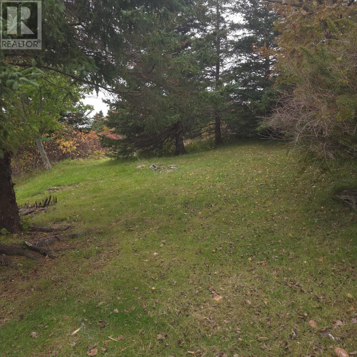 32A Oceanview Heights, Carbonear — photo 24