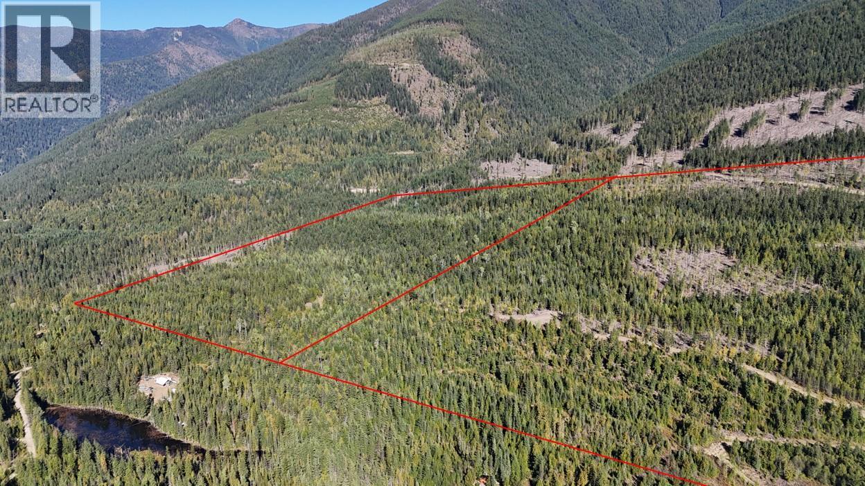 Sl 83 & 91 Macfarlane 27 Road Lot# Sl 83 & 91, Gray Creek, British Columbia  V0B 1S0 - Photo 2 - 10404464