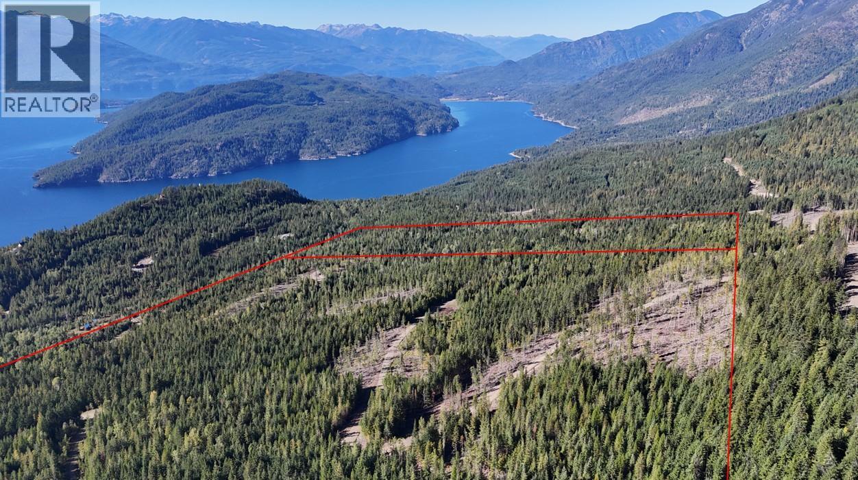 Sl 83 & 91 Macfarlane 27 Road Lot# Sl 83 & 91, Gray Creek, British Columbia  V0B 1S0 - Photo 3 - 10404464