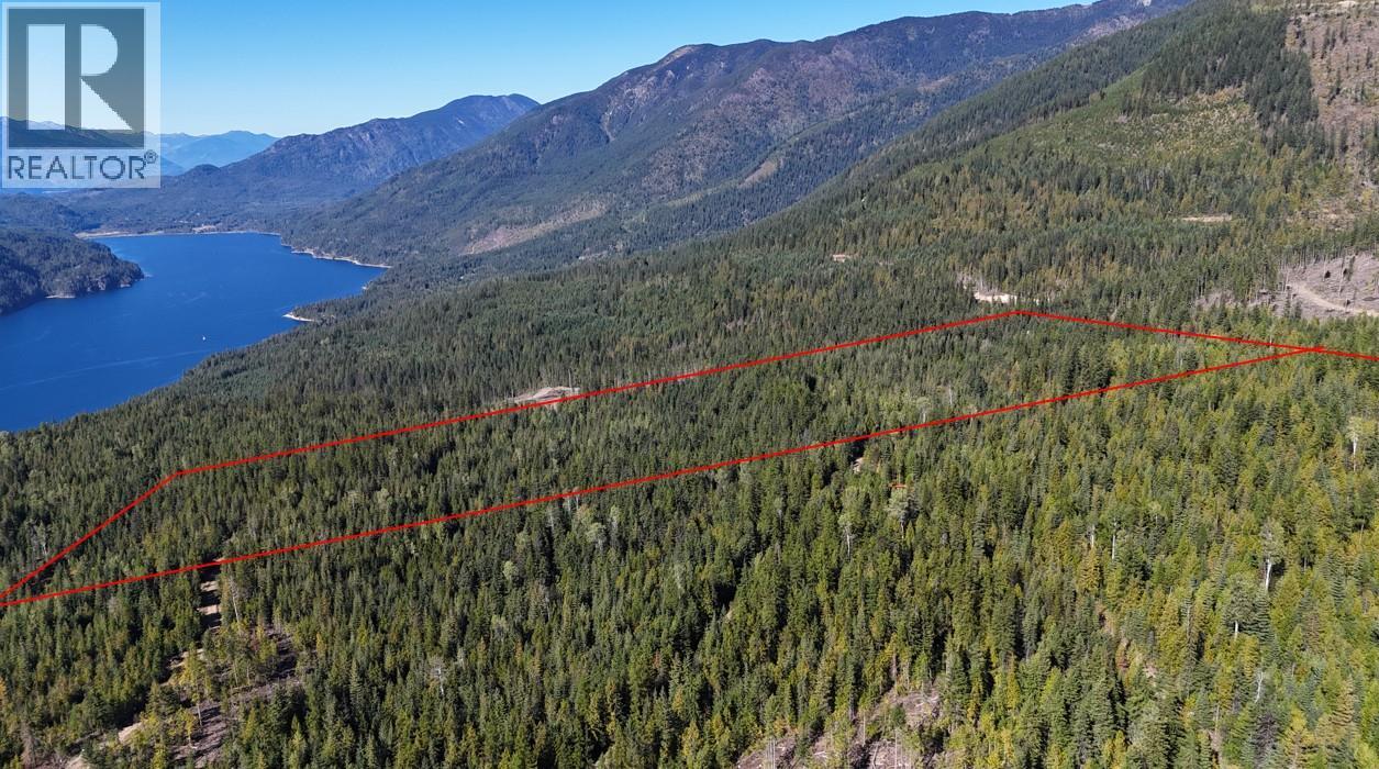 Sl 83 & 91 Macfarlane 27 Road Lot# Sl 83 & 91, Gray Creek, British Columbia  V0B 1S0 - Photo 10 - 10404464