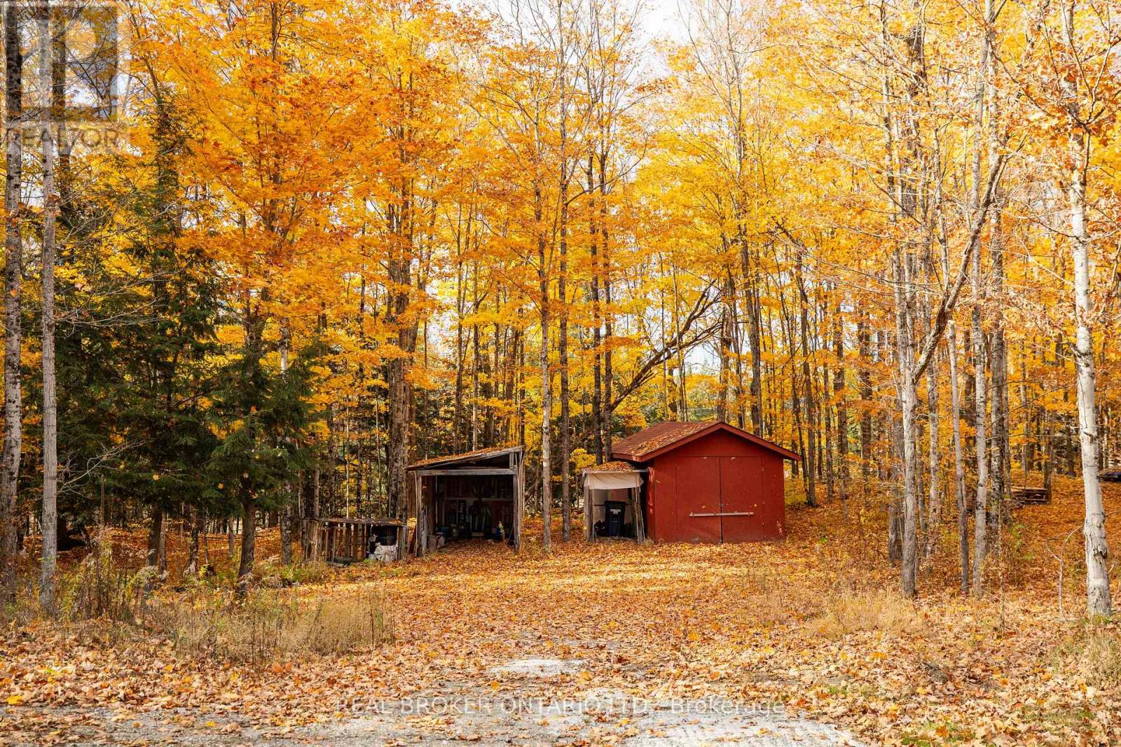 12921 Highway 7, Lanark Highlands, Ontario  K7C 0C5 - Photo 45 - X14117998