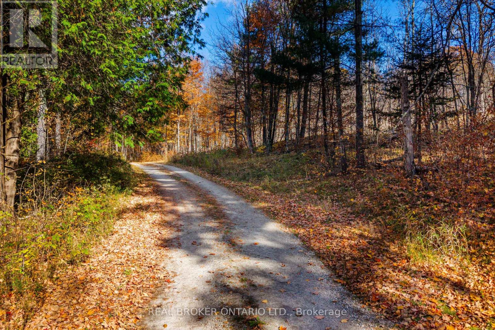 12921 Highway 7, Lanark Highlands, Ontario  K7C 0C5 - Photo 46 - X14117998