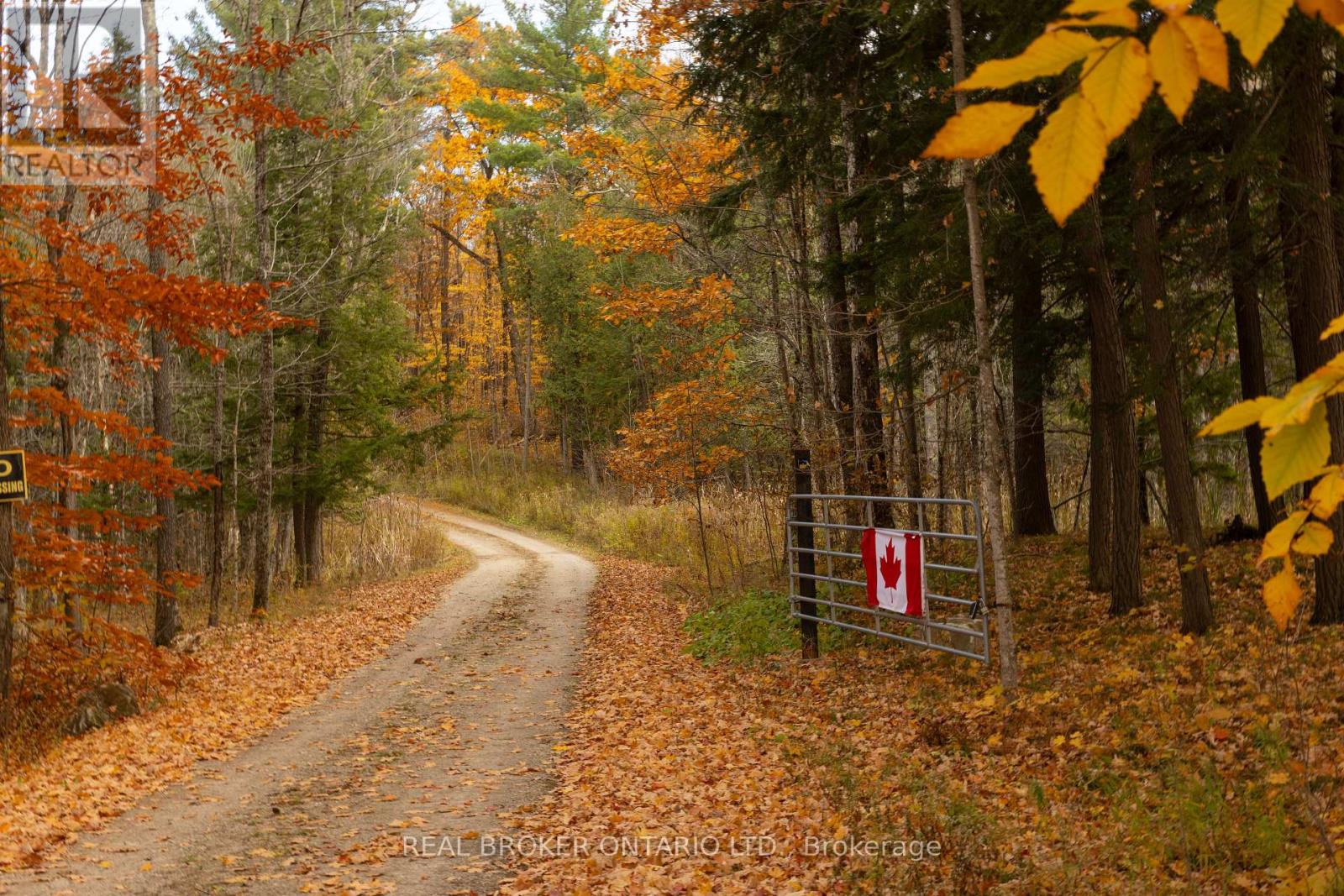 12921 Highway 7, Lanark Highlands, Ontario  K7C 0C5 - Photo 49 - X14117998