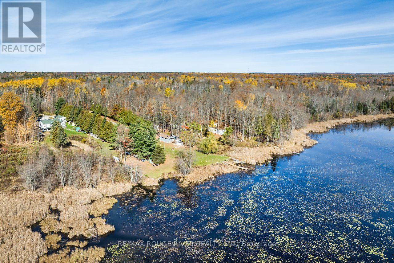 315 Swinburne Lane, Stirling-Rawdon, Ontario  K0K 2M0 - Photo 37 - X14118022