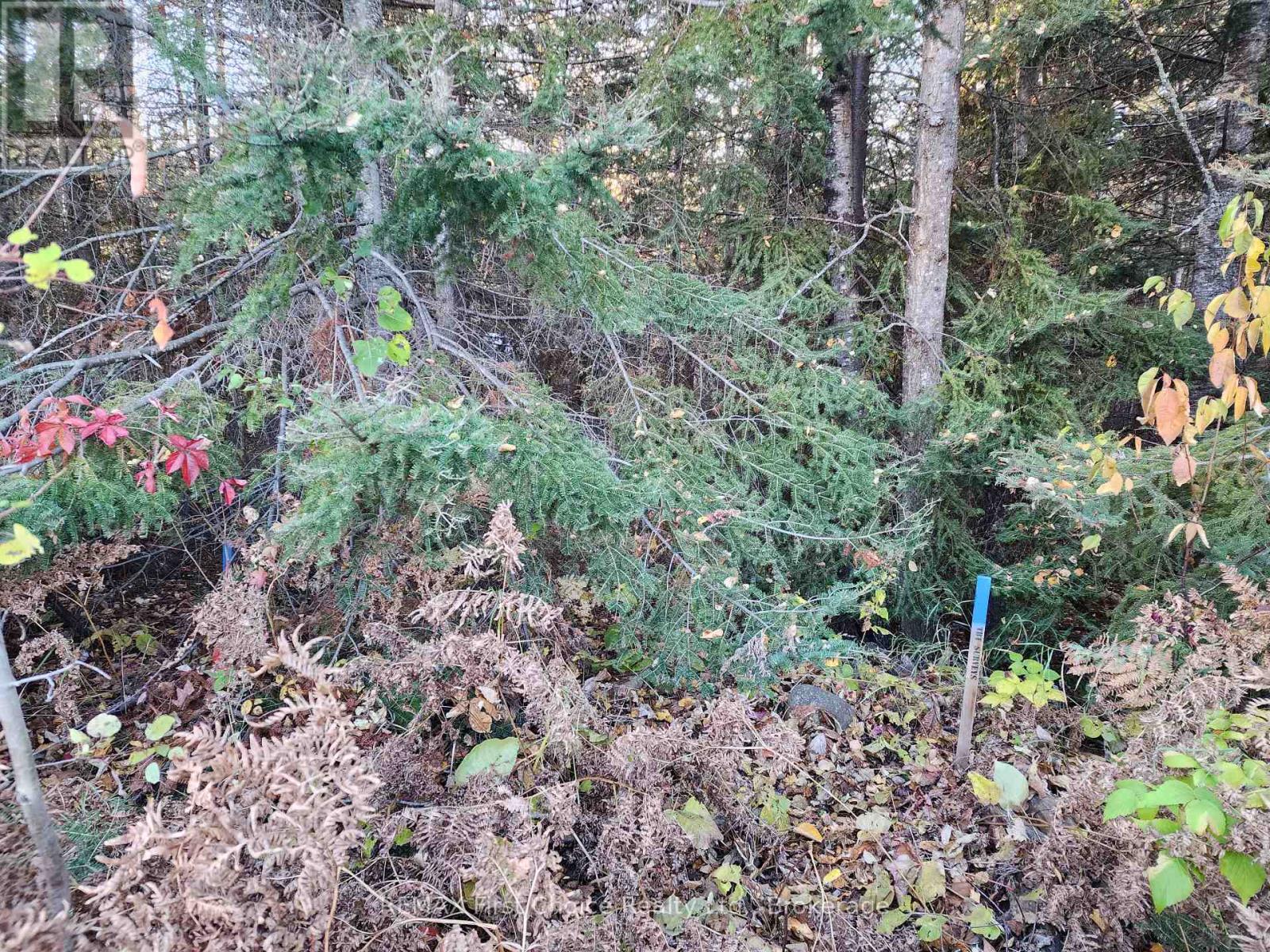 837 Hodder Avenue, Thunder Bay, Ontario  P7A 1W3 - Photo 4 - X14118200