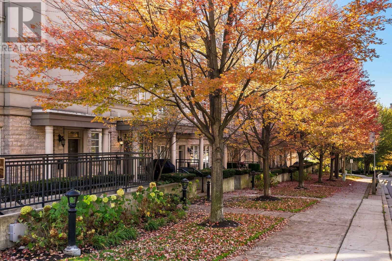 Th 513 - 49 York Mills Road, Toronto (Bridle Path-Sunnybrook-York Mills), Ontario  M2P 1B6 - Photo 41 - C14118062