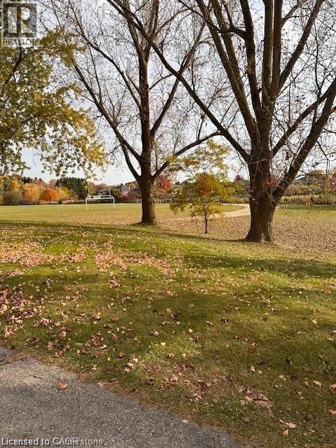 595 Raglan Street, Palmerston, Ontario  N0G 2P0 - Photo 10 - 40867845