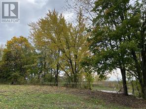 20 Sapphire Drive W, South Glengarry, Ontario K6H 7J1 - Photo 2 - X14118558