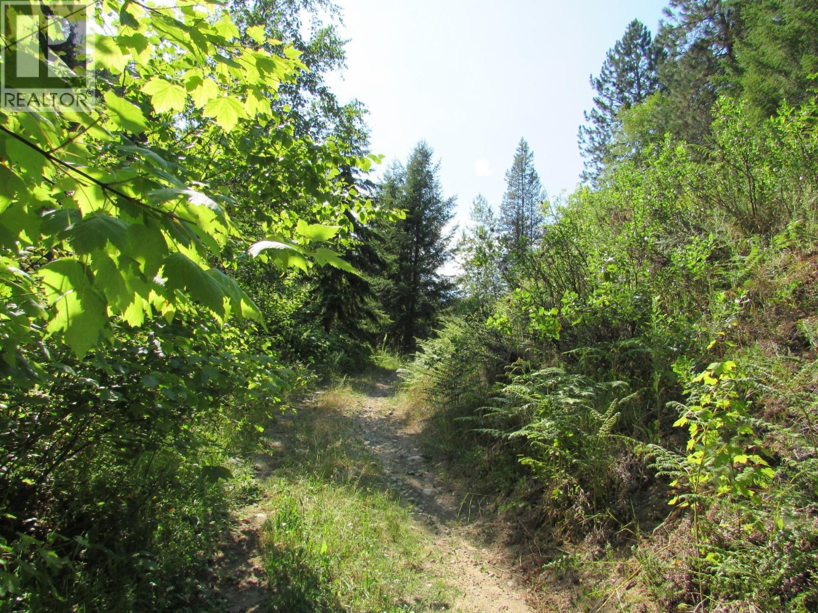 1365 Forest Road, Castlegar, British Columbia  V1N 4J4 - Photo 16 - 10366830