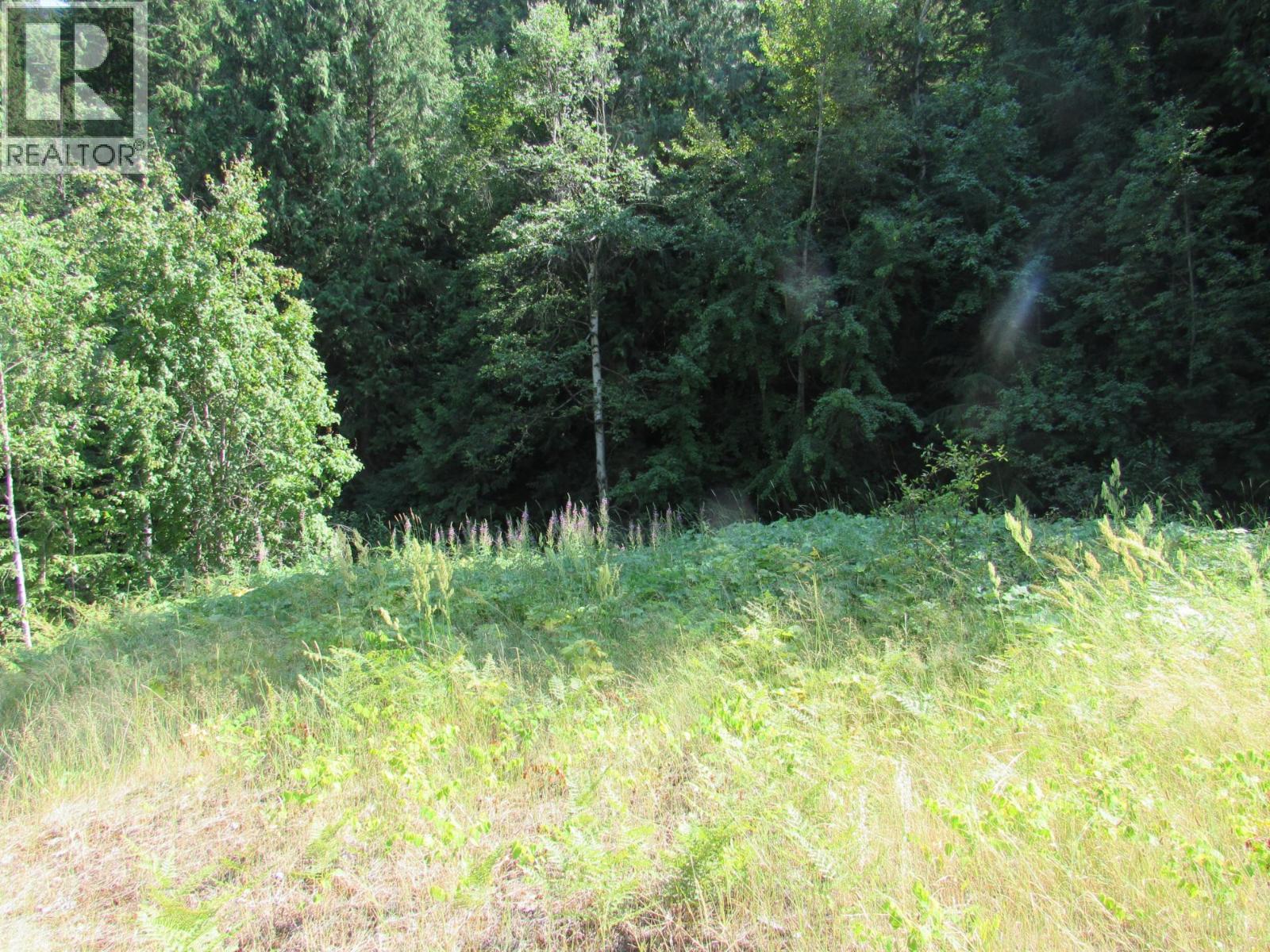 1365 Forest Road, Castlegar, British Columbia  V1N 4J4 - Photo 20 - 10366830