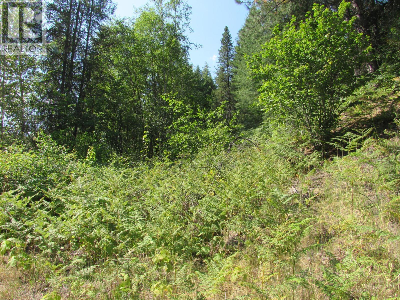 1365 Forest Road, Castlegar, British Columbia  V1N 4J4 - Photo 19 - 10366830