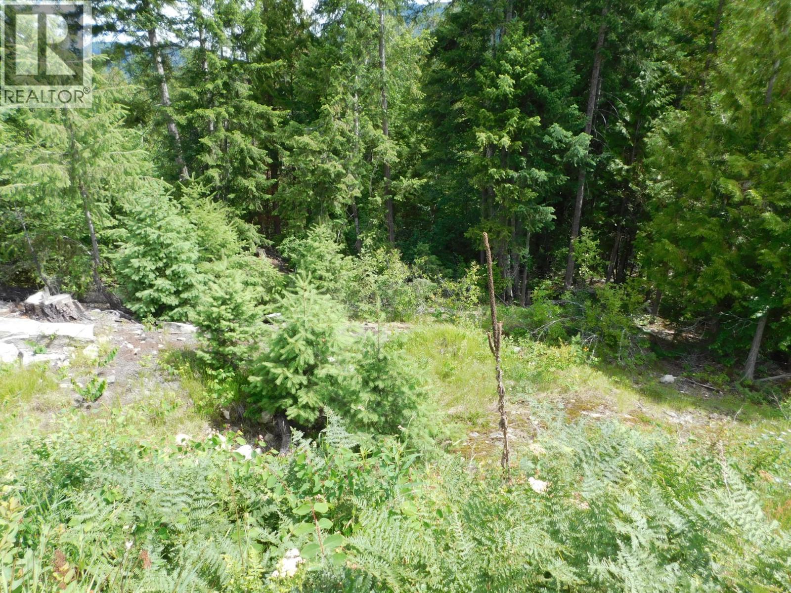 1365 Forest Road, Castlegar, British Columbia  V1N 4J4 - Photo 3 - 10366830
