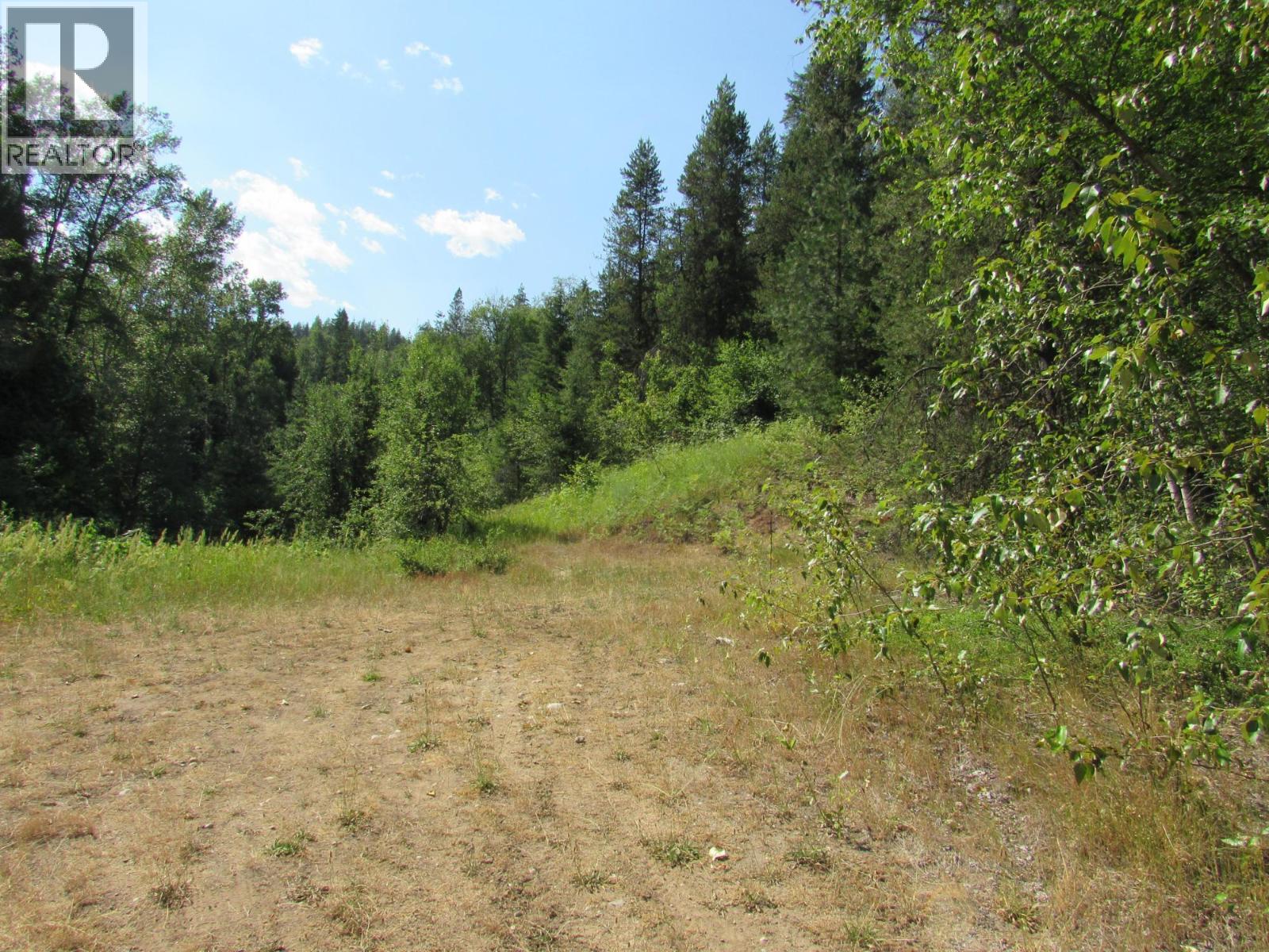 1365 Forest Road, Castlegar, British Columbia  V1N 4J4 - Photo 23 - 10366830