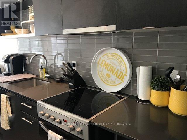203 - 435 Richmond Street W, Toronto, Ontario  M5V 0N1 - Photo 6 - C14118626
