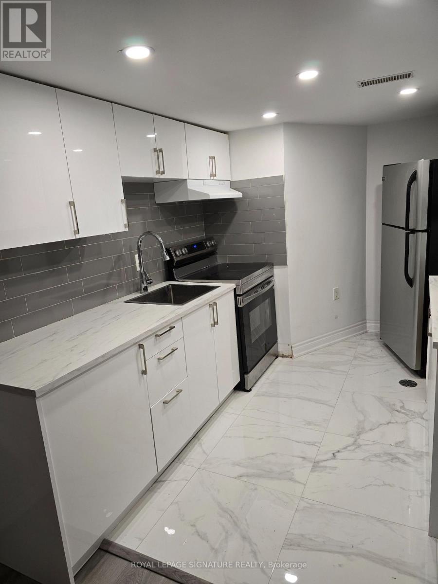 Lower Floor - 17 Pleasant Avenue, Toronto, Ontario M2M 1L8 - Photo 10 - C13796494