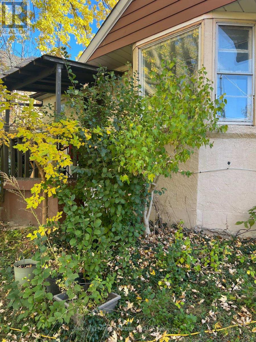 Lower Floor - 17 Pleasant Avenue, Toronto, Ontario M2M 1L8 - Photo 28 - C13796494