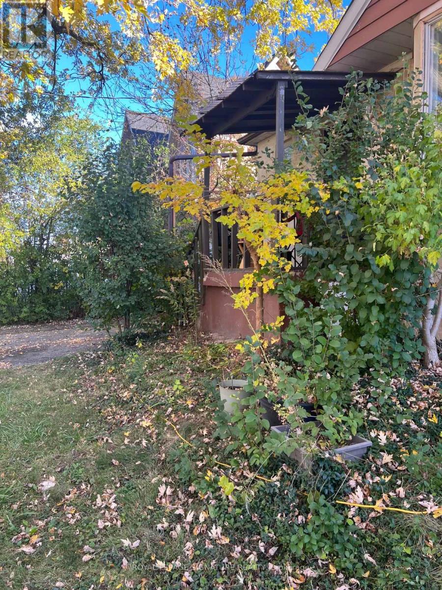 Lower Floor - 17 Pleasant Avenue, Toronto, Ontario M2M 1L8 - Photo 27 - C13796494