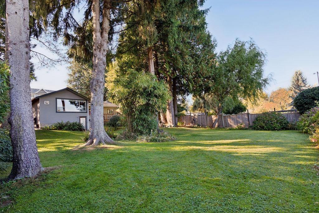 13231 112b Avenue, Surrey, British Columbia  V3R 2H4 - Photo 20 - R3178697