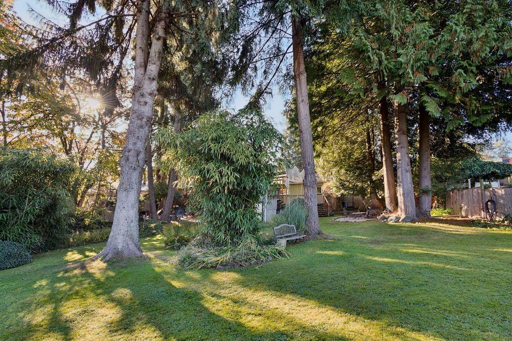 13231 112b Avenue, Surrey, British Columbia  V3R 2H4 - Photo 21 - R3178697