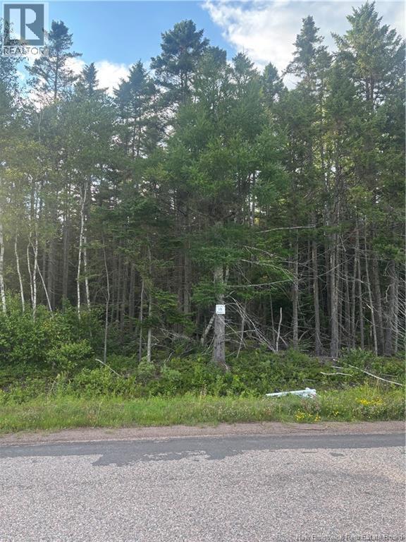 Lot 26-3 Upper Midland Road, Springfield, New Brunswick E5T 1Z7 - Photo 4 - NB150016