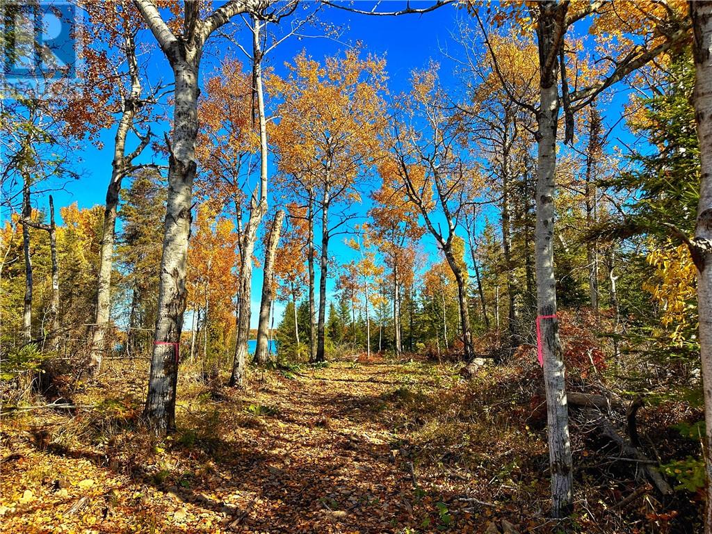 46 Goose Gap Crescent, Gore Bay, Ontario  P0P 1H0 - Photo 2 - 2131092