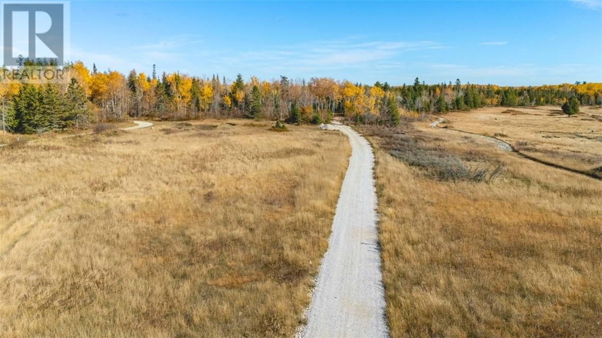 46 Goose Gap Crescent, Gore Bay, Ontario  P0P 1H0 - Photo 6 - 2131092