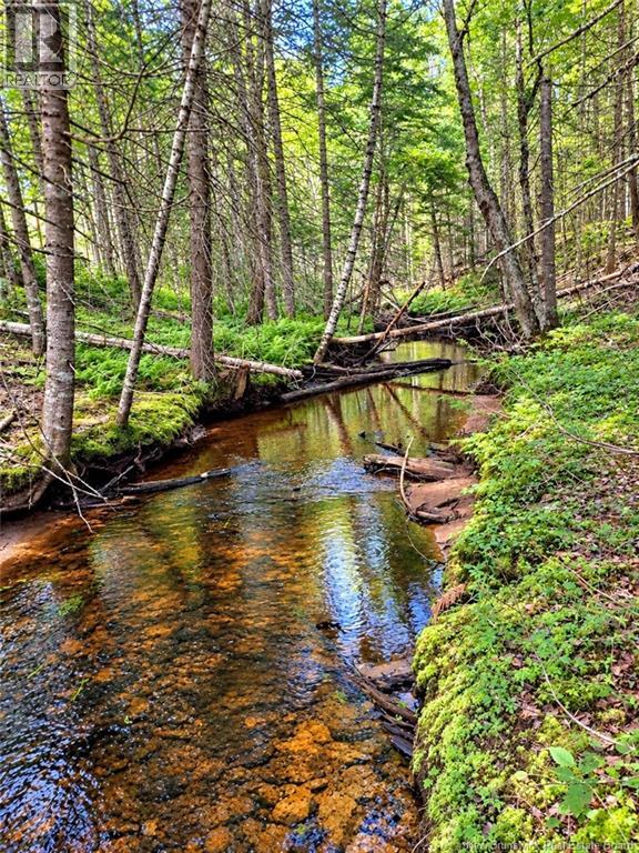 Lot 26-02 Bateman Mill Road, Saint-Philippe, New Brunswick E1H 1T3 - Photo 13 - NB150326