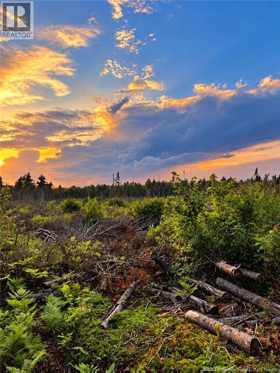 Lot 26-02 Bateman Mill Road, Saint-Philippe, New Brunswick E1H 1T3 - Photo 3 - NB150326