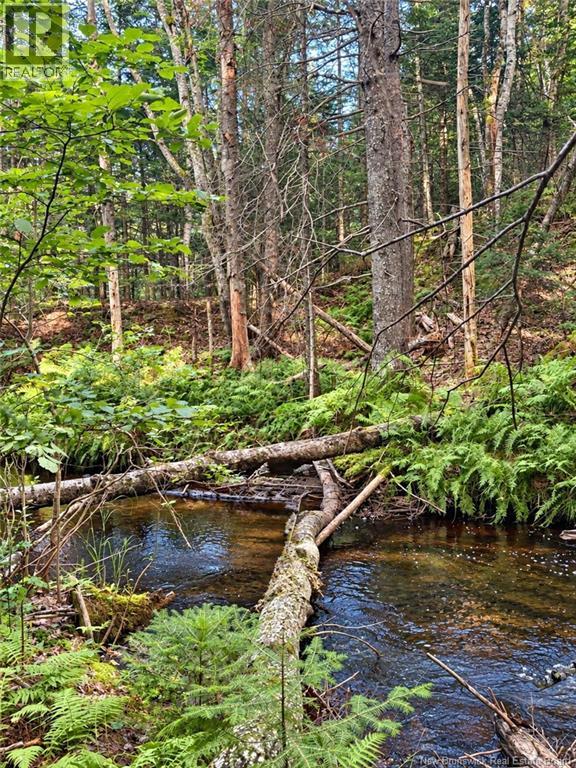 Lot 26-02 Bateman Mill Road, Saint-Philippe, New Brunswick E1H 1T3 - Photo 4 - NB150326