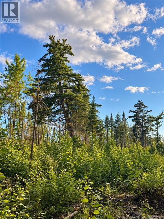 Lot 26-02 Bateman Mill Road, Saint-Philippe, New Brunswick E1H 1T3 - Photo 8 - NB150326
