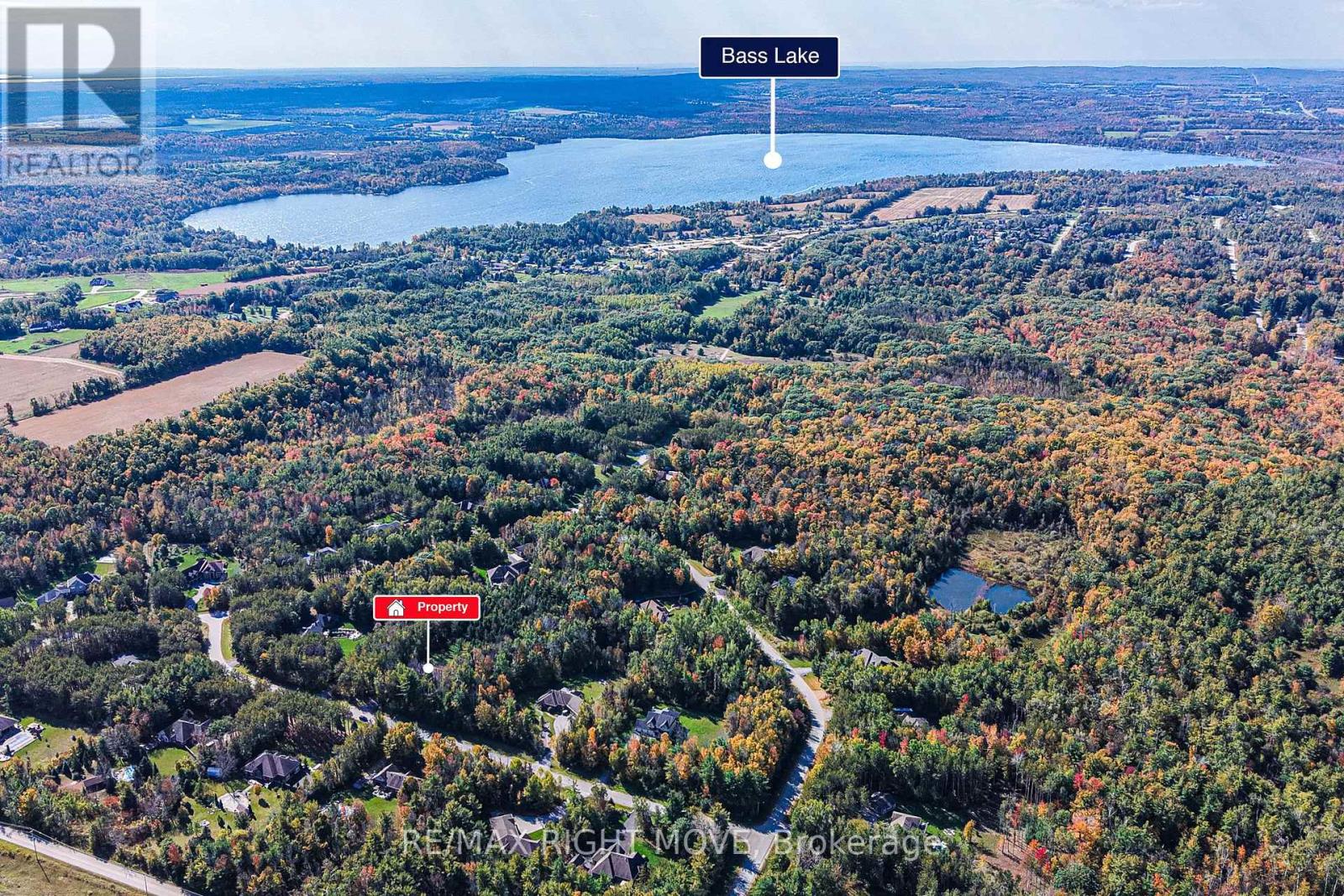 4200 Pine Valley Lane, Severn, Ontario L3V 6H2 - Photo 4 - S14119390