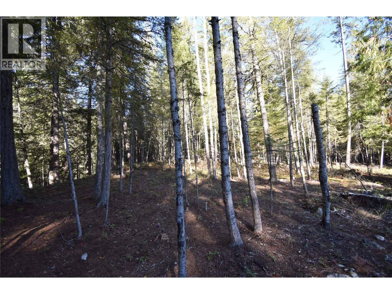 1025 Kelly Drive, Shoreacres, British Columbia  V1N 4P5 - Photo 33 - 10403903