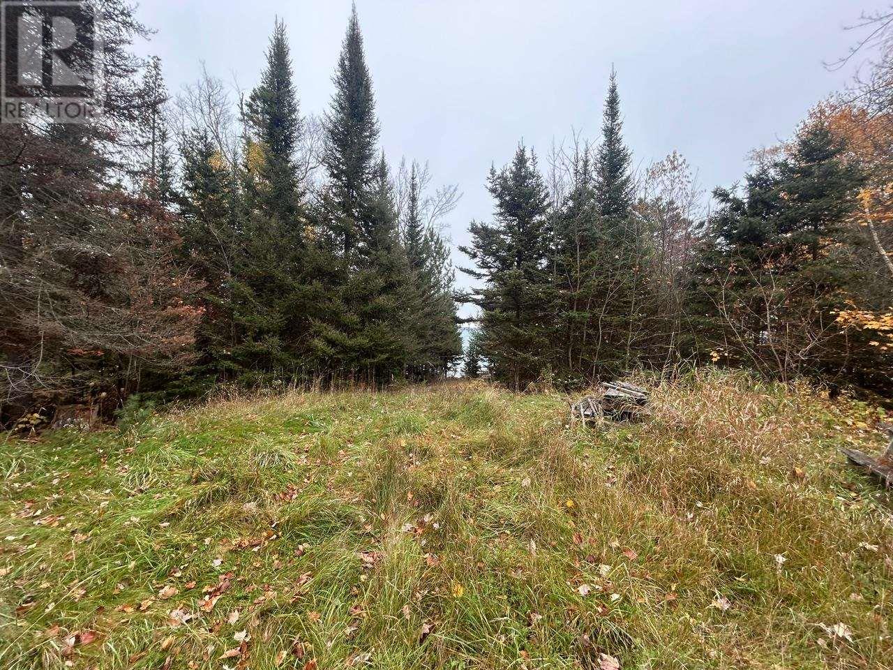 2648 & 2652 Canoe Point Rd, Richards Landing, Ontario  P0R 1J0 - Photo 10 - SM262992