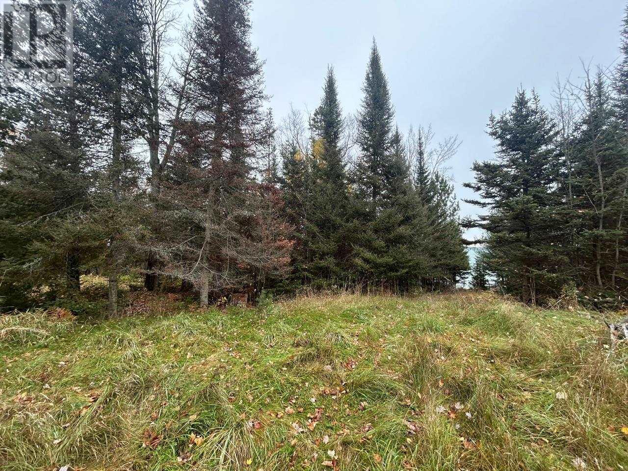 2648 & 2652 Canoe Point Rd, Richards Landing, Ontario  P0R 1J0 - Photo 11 - SM262992