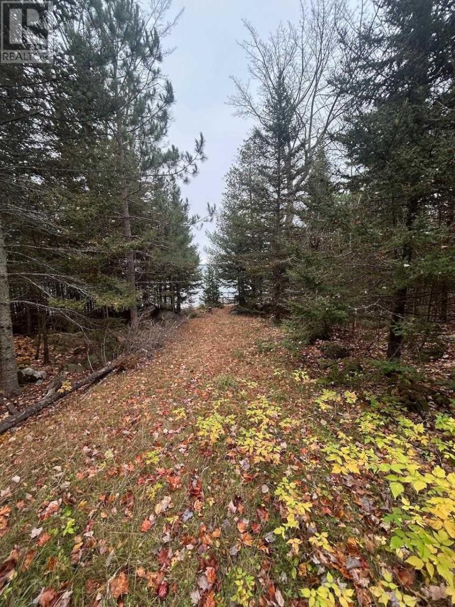 2648 & 2652 Canoe Point Rd, Richards Landing, Ontario  P0R 1J0 - Photo 5 - SM262992