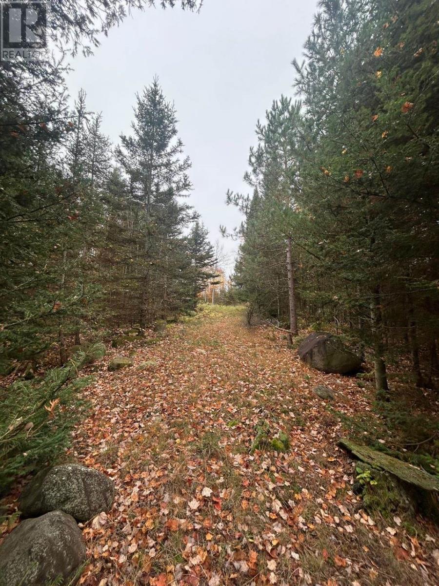 2648 & 2652 Canoe Point Rd, Richards Landing, Ontario  P0R 1J0 - Photo 6 - SM262992
