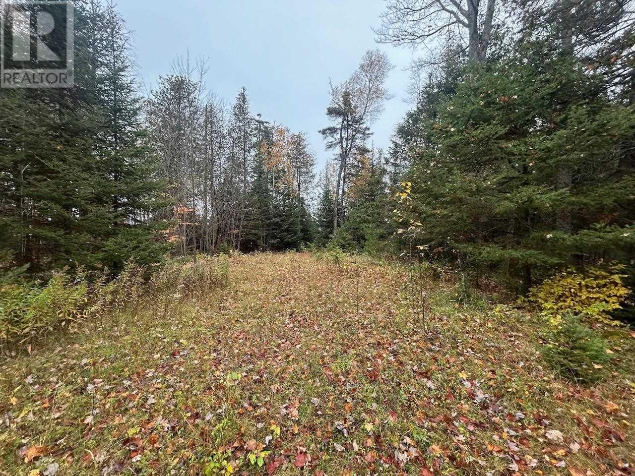 2648 & 2652 Canoe Point Rd, Richards Landing, Ontario  P0R 1J0 - Photo 7 - SM262992