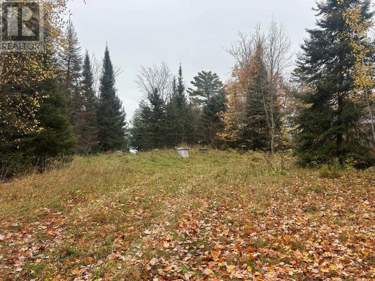 2648 & 2652 Canoe Point Rd, Richards Landing, Ontario  P0R 1J0 - Photo 8 - SM262992