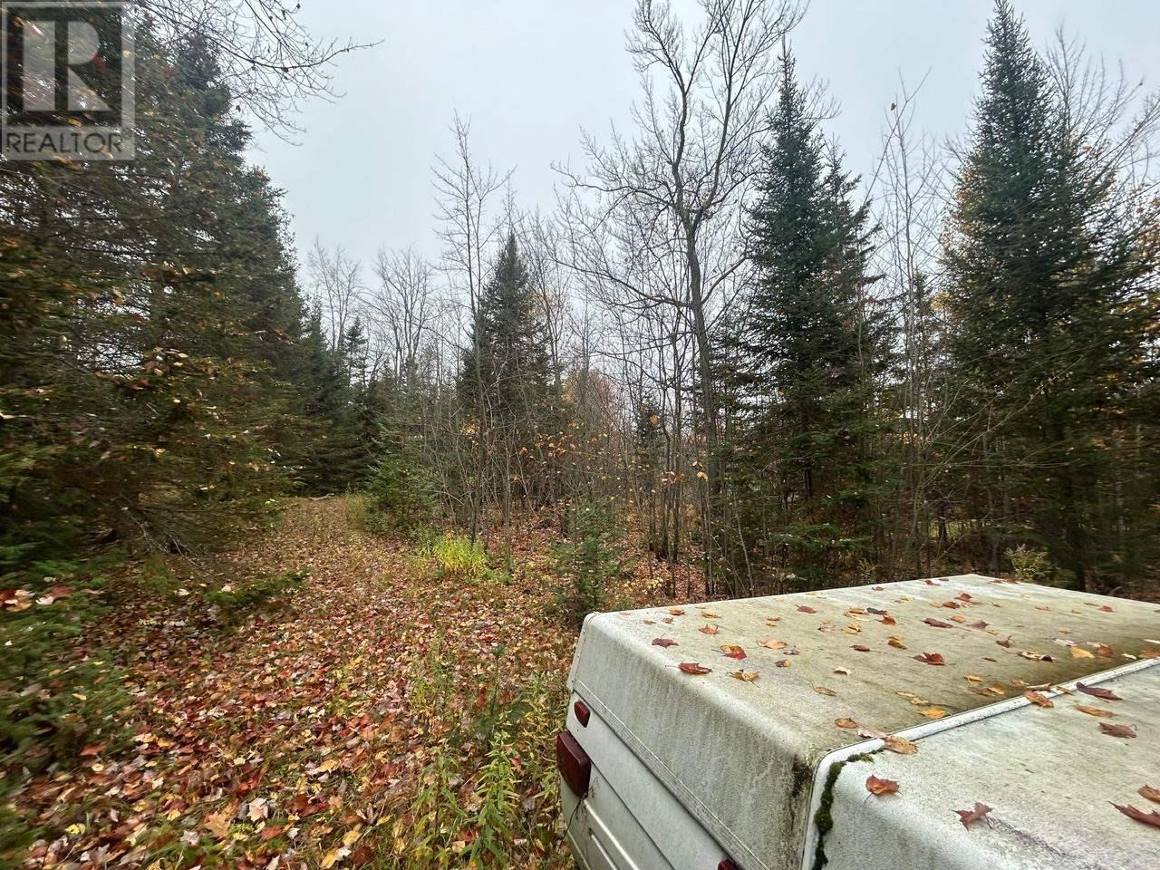 2648 & 2652 Canoe Point Rd, Richards Landing, Ontario  P0R 1J0 - Photo 9 - SM262992