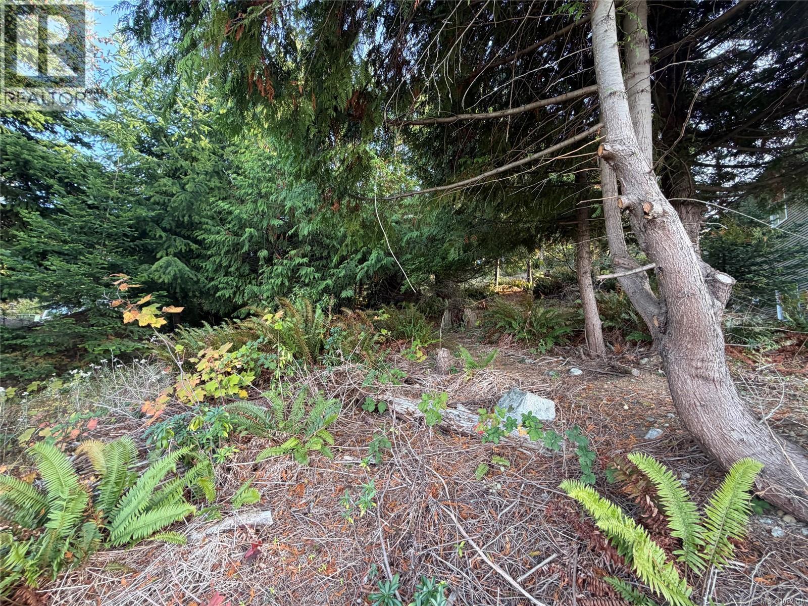 5323 Dewar Rd, Nanaimo, British Columbia   - Photo 5 - 1052018