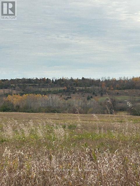 0 Elmdale Road, Cavan Monaghan, Ontario  K9J 0G5 - Photo 3 - X14120432
