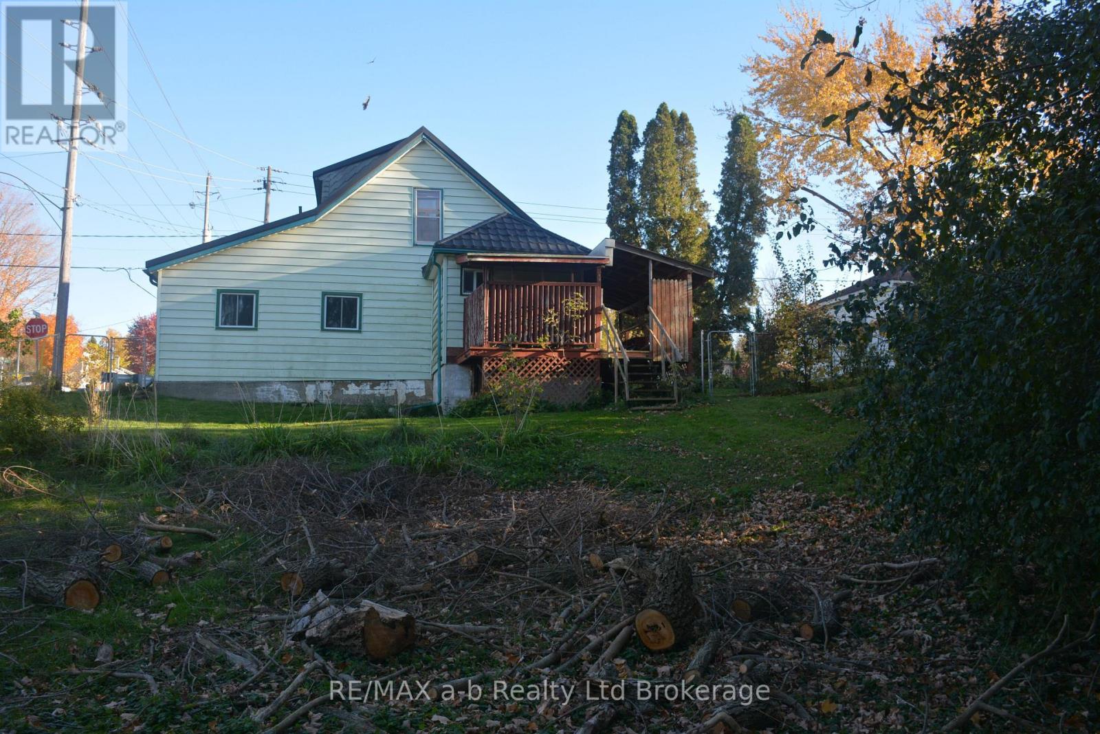183 Charles Street E, Ingersoll, Ontario  N5C 1J9 - Photo 10 - X14120692